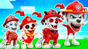 😳 ВСЯ ЭВОЛЮЦИЯ МАРШАЛ И ГОНЩИК ЩЕНЯЧИЙ ПАТРУЛЬ в МАЙНКРАФТ МУЛЬТИК