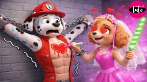 Щенячий патруль и Маршалл. Залипательное видео. Мультфильм для детей и малышей. Анимация 28