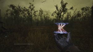 С.Т.А.Л.К.Е.Р. 2 -Аномалия Электрополе