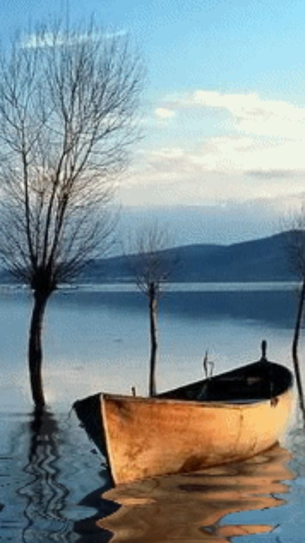 Кто хочет ...