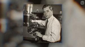 Как работает электронный микроскоп? [Veritasium]