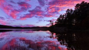 моргнул=закончил стрим