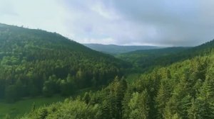 "Здравствуй, Родина моя" (автор текста: Игорь Анисимов)