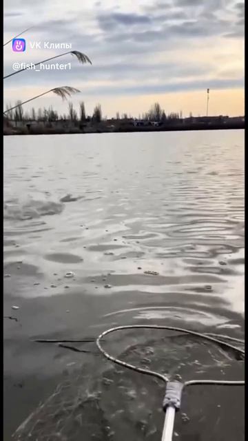 #рыбалка смотреть онлайн