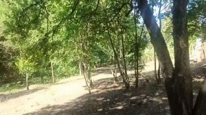 16,17 августа 2025г.Устроила себе облегченные выходные