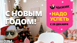 Каталог новинок в магазине Чижик с 29 декабря