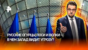 Запад видит российскую угрозу в лосях-шпионах, котах-диверсантах и даже огурцах / ДОБРОВЭФИРЕ