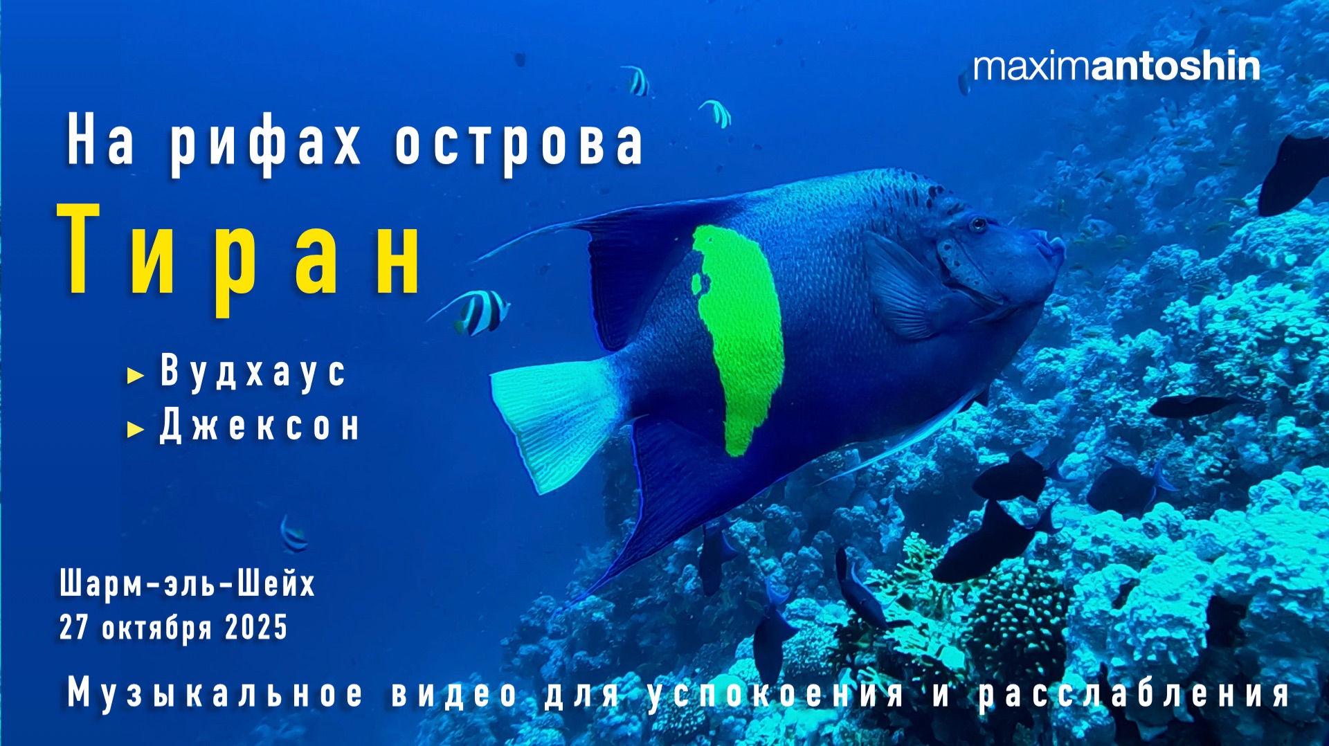 Красное море. На рифах острова Тиран. Вудхаус. Джексон. 27 октября 2025. Видео для расслабления смотреть онлайн