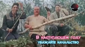 Видео-подарки ОколоНовогодние советы