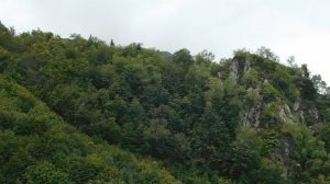 ВИДЕО  ПВН  ББ   (1578)