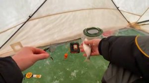 ЖОР ЩУКИ НА ЖЕРЛИЦЫ!! СРАБОТКИ ОДНА ЗА ДРУГОЙ!!