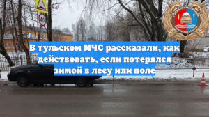 В тульском МЧС рассказали, как действовать, если потерялся зимой в лесу или поле