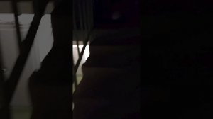 работа дворника