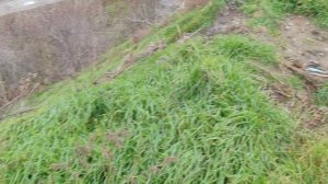 Вид на море