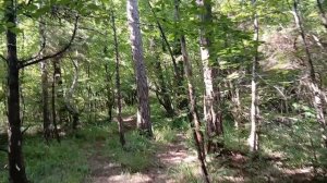 Прогулки по горной тропинке в Архипо-Осиповке на Чёрном море