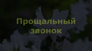 Прощальный звонок