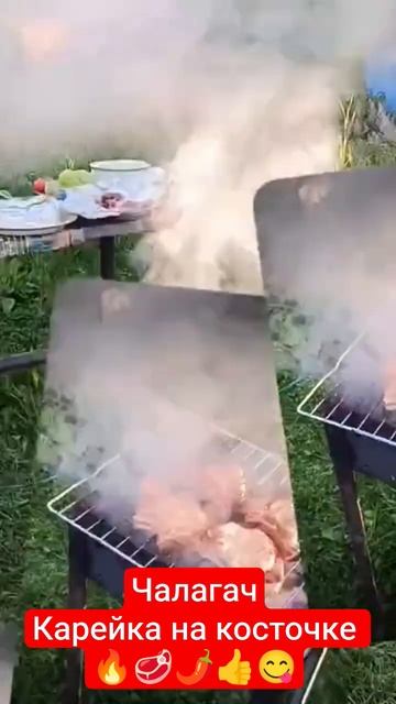 Чалагач или просто корейка на косточке. смотреть онлайн