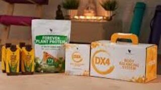 РАЗБОР ПРОГРАММЫ DX 4