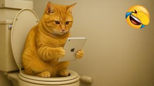 РУССКИЕ_ПРИКОЛЫ_СМОТРЕТЬ_ОНЛАЙН