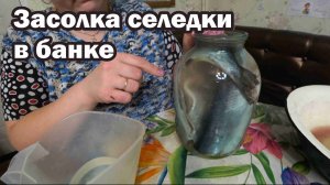 Засолка селедки в 3-х литровой банке