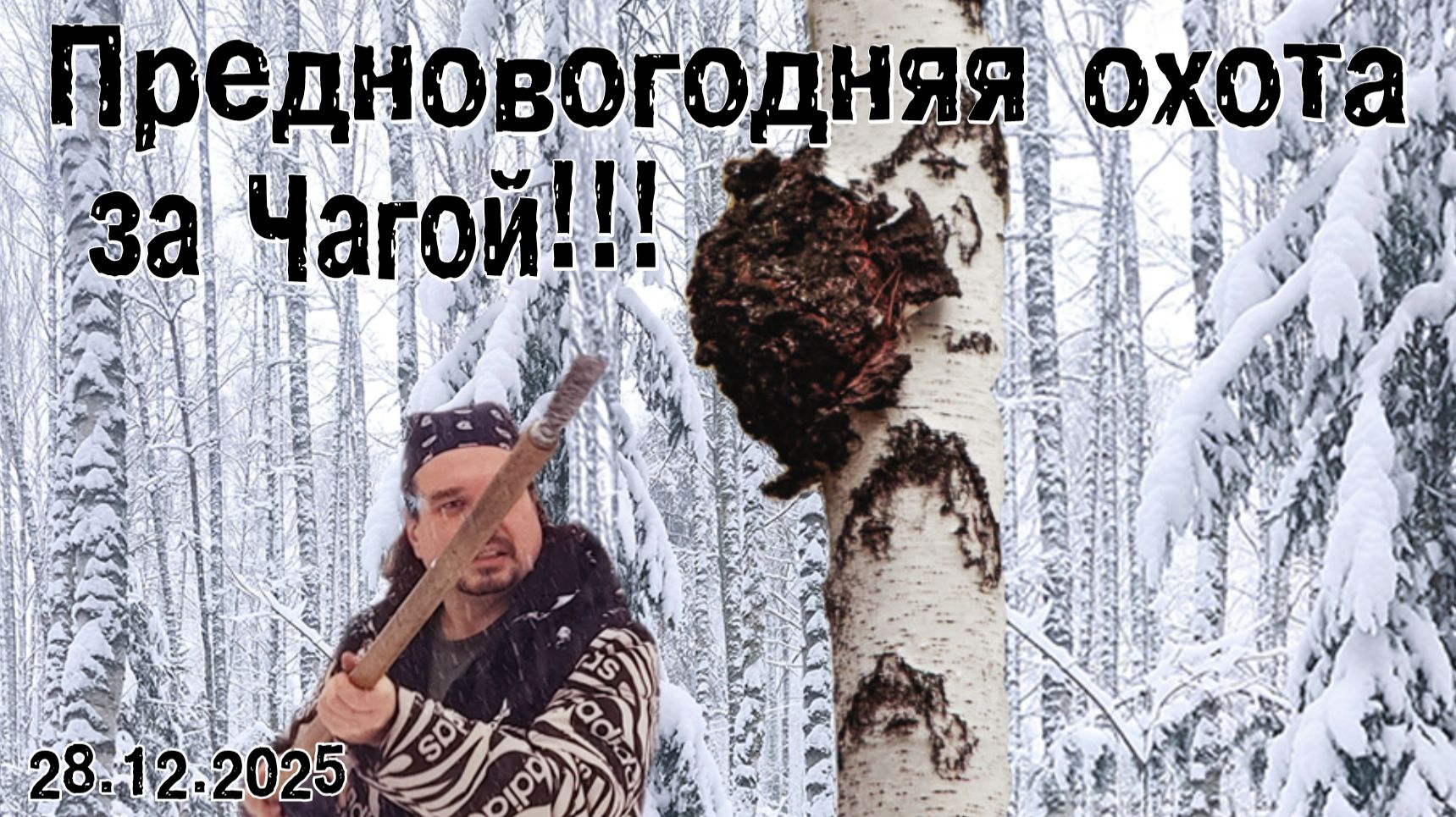 Предновогодняя охота на ЧАГУ!!! 28.12.2025 смотреть онлайн