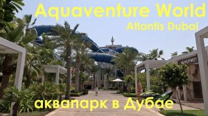 Аквапарк в Дубае Aquaventure World. Для постояльцев Atlantis the Royal