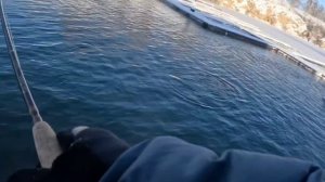 Стальноголовый лосось нахлыстом в декабре 2025!