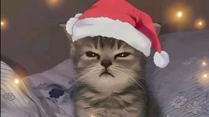 Смотреть на 2x!!!