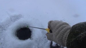 первый лёд 2025 - охота за окунем