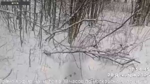 Новогодний вечер душевных песен (28.12.25)