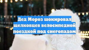 Дед Мороз шокировал щелковцев велосипедной поездкой под снегопадом