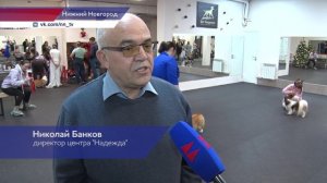 Новогодний праздник для хендлеров и собак