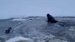В Балашихе спасли двух взрослых и двух детей, провалившихся под лед