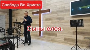 Сыны елея. Антон Черемисин. Краснодар