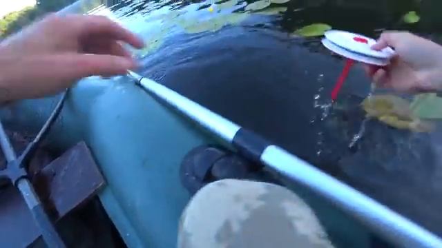 ЩУКИ ПРУТ В ЗАРОСЛЯХ КУВШИНОК! Рыбалка на лесном озере на поппер и летние жерлицы. смотреть онлайн