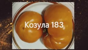 СКИДКИ на СЕМЕНА! Томаты для диетического питания. Наборы семян томатов. т. 89229284031