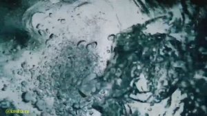 Activated - Racc /  клубная музыка / house / хауз / club music / house syle