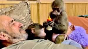 Я стала НЕ НУЖНА! У Люси есть ребенок и любимый папа и она принесла молоко КОРМИТЬ Анфису)))