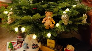 Новогодний Краснодар