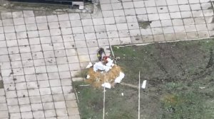 Гуляйполе - наше. Что дальше?