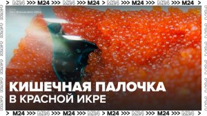 Роскачество нашло кишечную палочку в красной икре пяти популярных марок - Москва 24