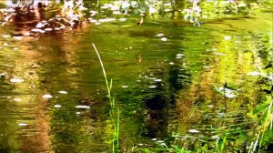 В течении...