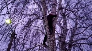 Рыбалка на Дрона