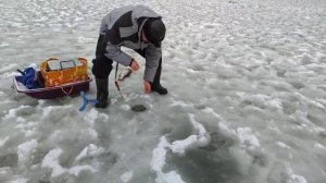 Форель.Основной водоём