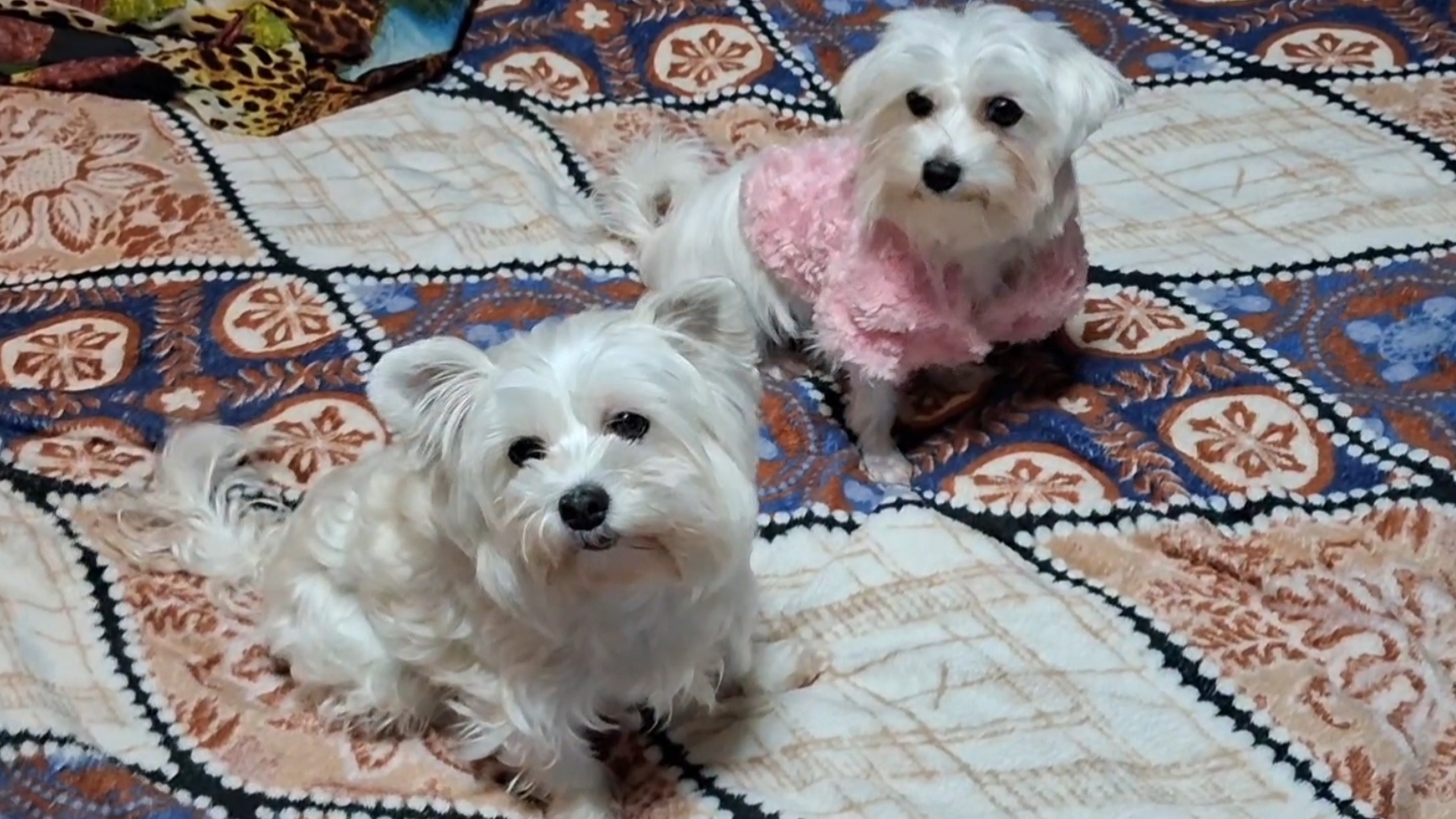 Так ли хороши неравный браки.... смотреть онлайн