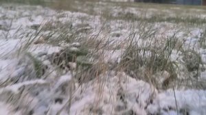 Замерзание карбюратора