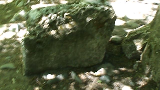 DSCN1475 Лагонаки сад камней 2018