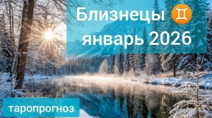 Близнецы ♊, январь 2026