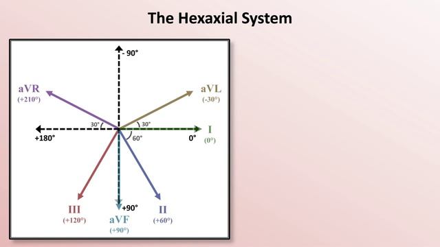 04 Intro to EKG Interpretation - EKG Leads  Eric Strong