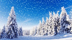 12. Снежинки.